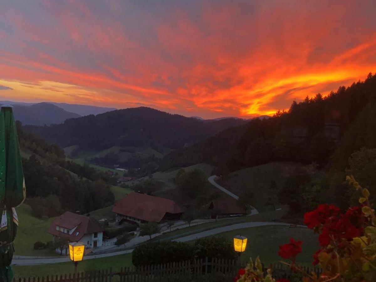 Ferienhaus Wendelinus Mit Pool & Sauna Hausach Kültér fotó