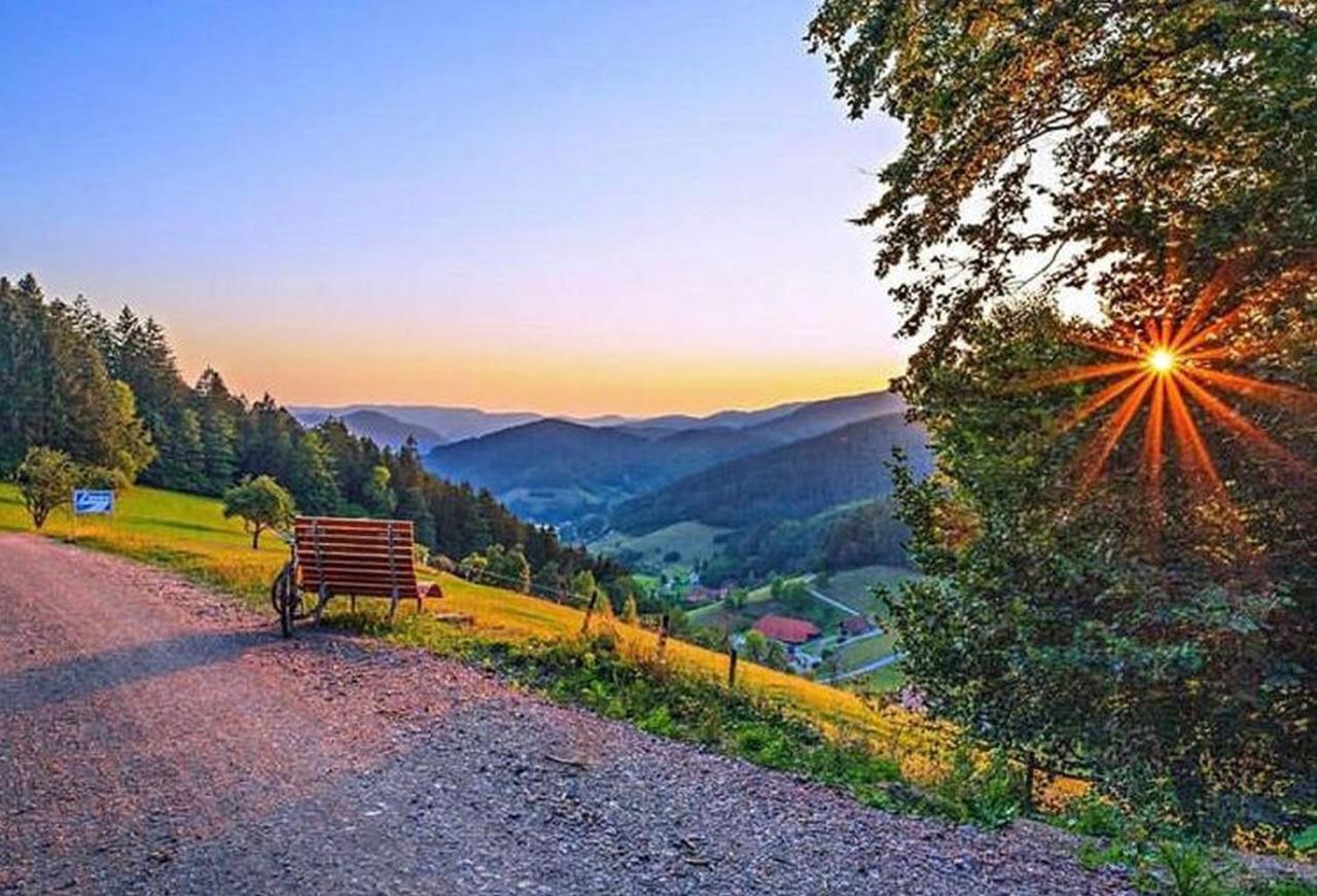 Ferienhaus Wendelinus Mit Pool & Sauna Hausach Kültér fotó