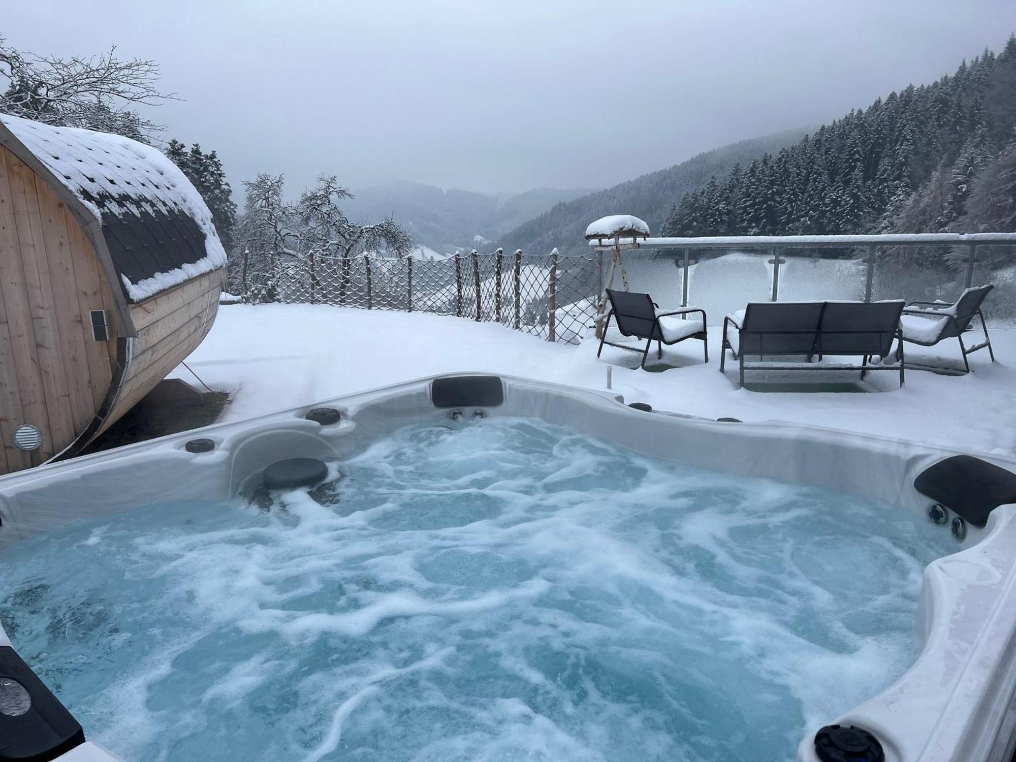 Ferienhaus Wendelinus Mit Pool & Sauna Hausach Kültér fotó