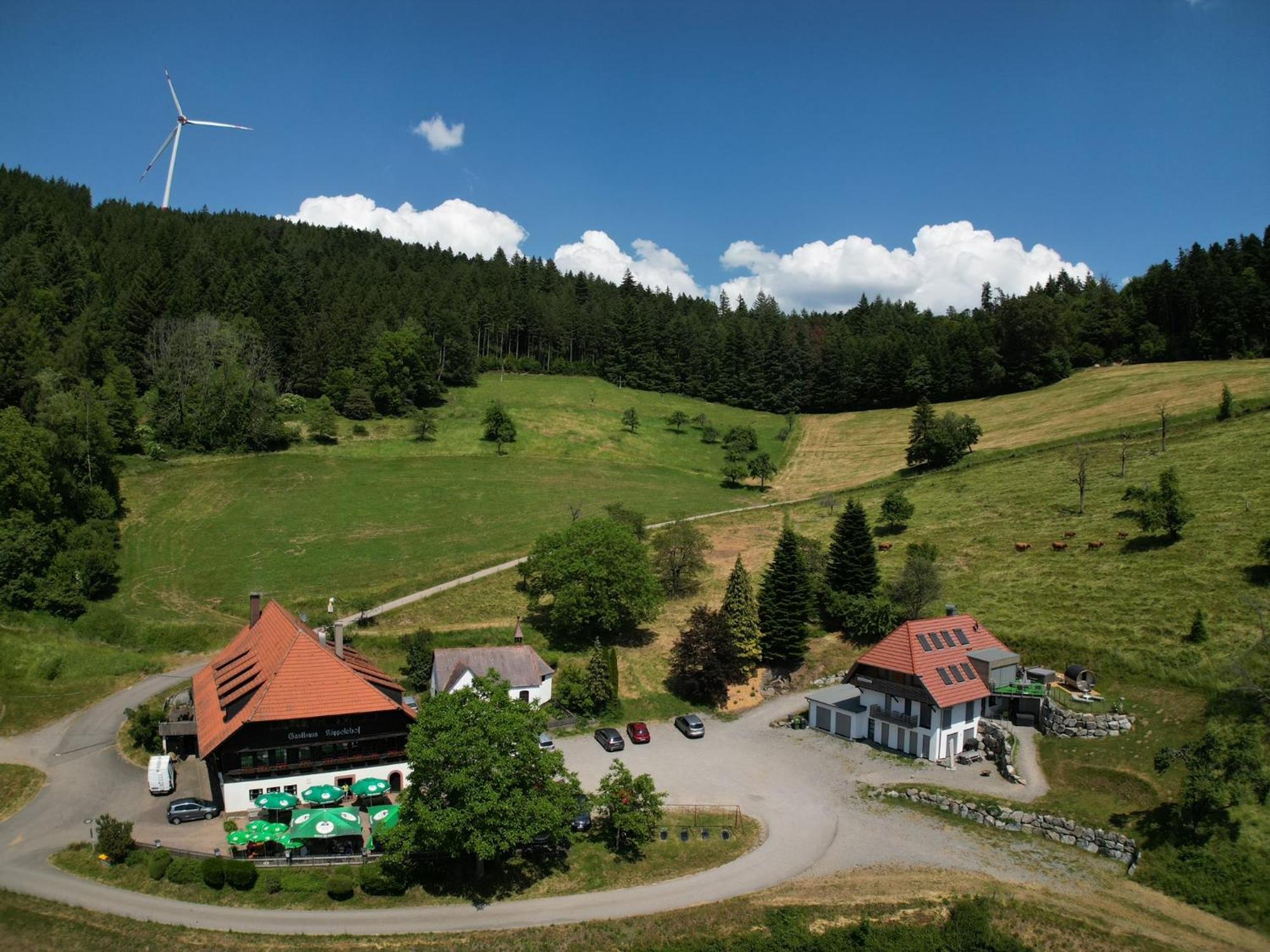 Ferienhaus Wendelinus Mit Pool & Sauna Hausach Kültér fotó
