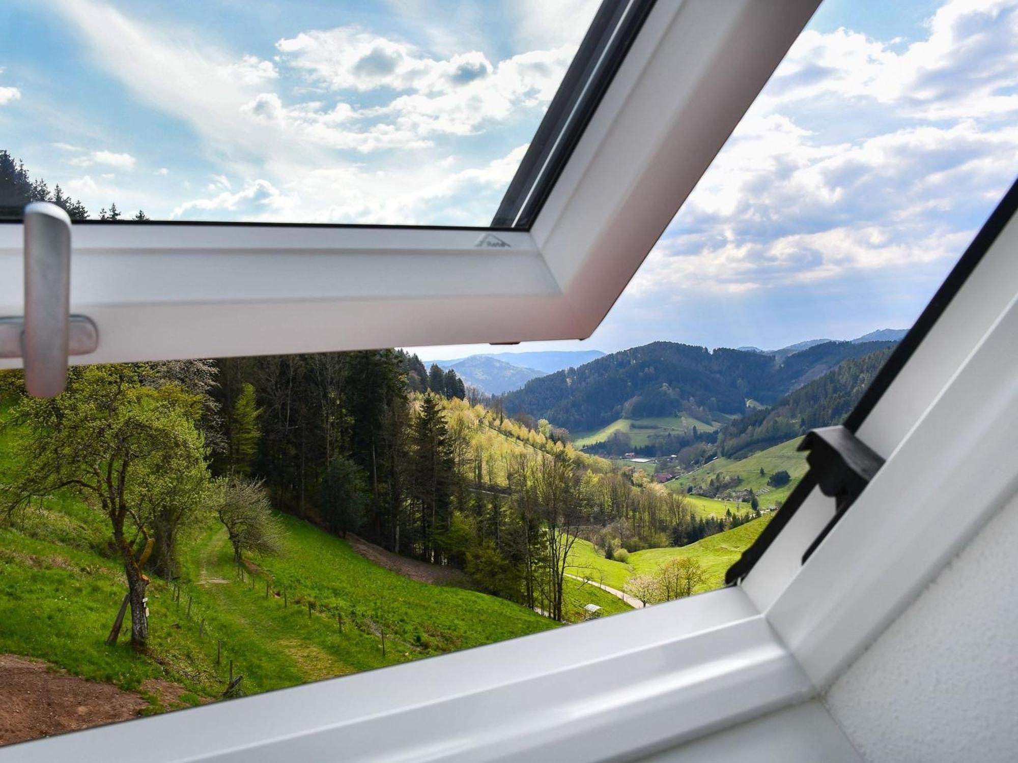 Ferienhaus Wendelinus Mit Pool & Sauna Hausach Kültér fotó